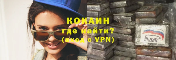 метадон Богданович